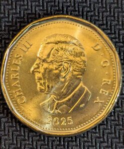 Alternative view of Canada 1 Dollar 2025 Supreme Court Commemorative Colourized BU from Mint Roll