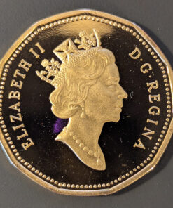 Alternative view of 1991 Canada Loon Dollar PROOF