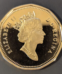 Alternative view of 1992 Canada Loon Dollar PROOF