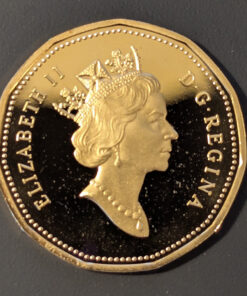 Alternative view of 1993 Canada Loon Dollar PROOF
