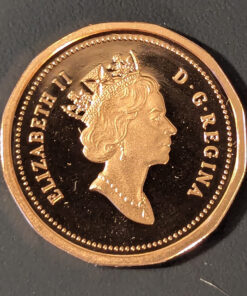 Alternative view of 1994 Canada 1-Cent PROOF
