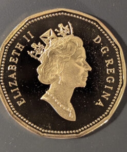 Alternative view of 1995 Canada Loon Dollar PROOF