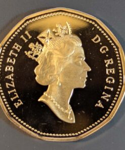 Alternative view of 1998 Canada Loon Dollar PROOF