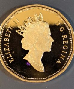 Alternative view of 1999 Canada Loon Dollar PROOF