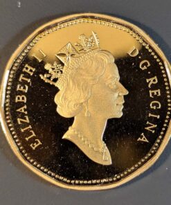 Alternative view of 2000 Canada Loon Dollar PROOF