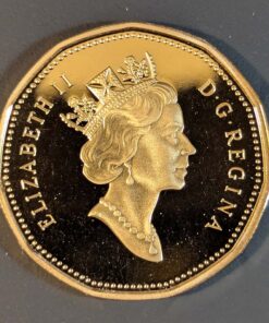 Alternative view of 2001 Canada Loon Dollar PROOF