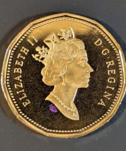 Alternative view of 2003 Canada Loon Dollar PROOF