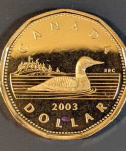 2003 Canada Loon Dollar PROOF