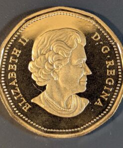 Alternative view of 2004 Canada Loon Dollar PROOF