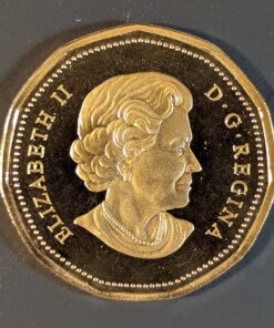 Alternative view of 2005 Canada Loon Dollar PROOF