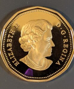 Alternative view of 2006 Canada Loon Dollar PROOF