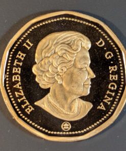 Alternative view of 2007 Canada Loon Dollar PROOF