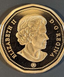 Alternative view of 2008 Canada Loon Dollar PROOF