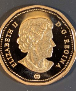 Alternative view of 2011 Canada Loon Dollar PROOF